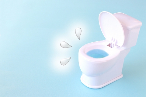 トイレの給水管の水漏れ|原因と症状