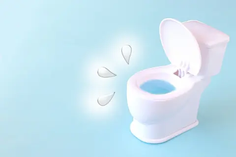 トイレの水漏れトラブル修理費用