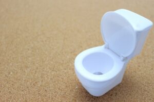 トイレの詰まりを疑うべきポイント