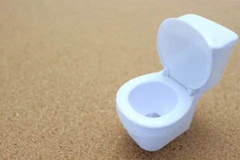トイレの詰まりトラブル修理費用